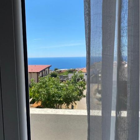 Apartments Wild Beauty - Krimovica Budva Bagian luar foto